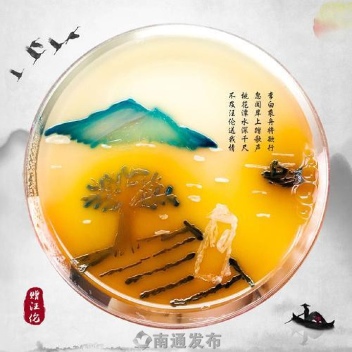江苏    今日,好消息从南通市二院传来,在"第三届全国最美微生物大赛"