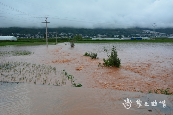 会泽县12个乡镇遭受洪涝灾害图片