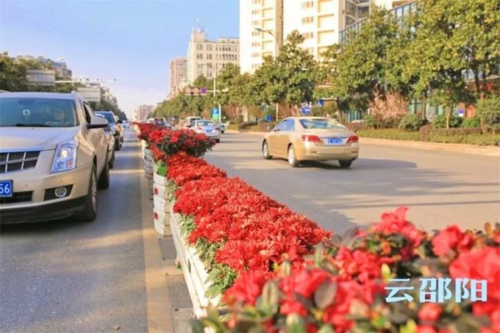 邵阳市区有多少人口_邵阳市区重要路口以及人流密集路段规划建设交通安全岛