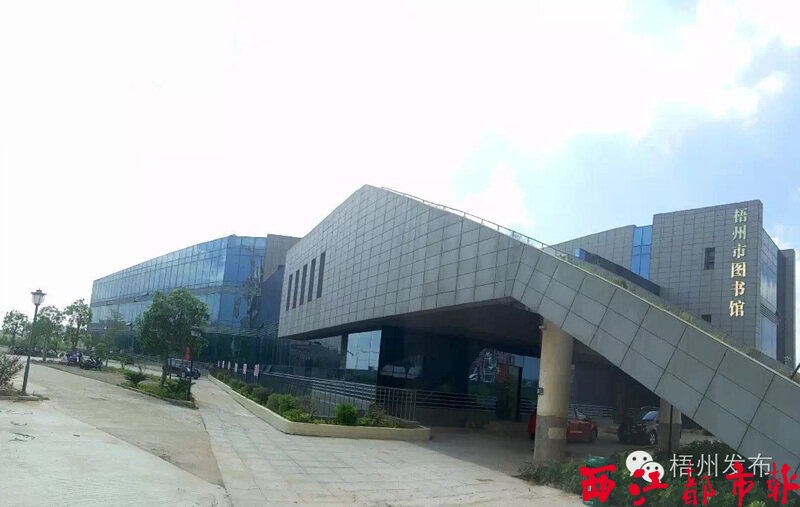 梧州市图书馆迎来暑假"读书热"