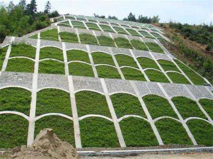 蒋海东专题协调梧州南站及苍海新区周边裸露山体复绿工作