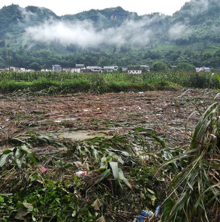 【汛情一线】7月5日8时至6日8时永顺大地普降县暴雨 全县紧急启动防汛抗灾工作‘Kaiyun官方网站’(图11)