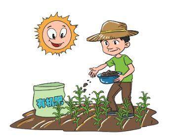 我市举行2018年土壤肥料工作总结暨科学施肥社会化服务工作推进会