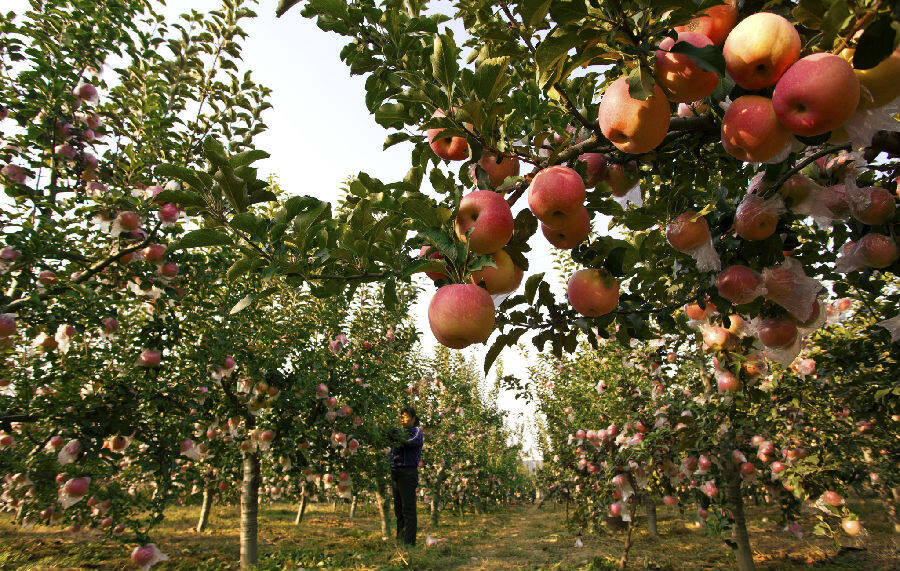 山西翼城:跑出振兴崛起的 速度