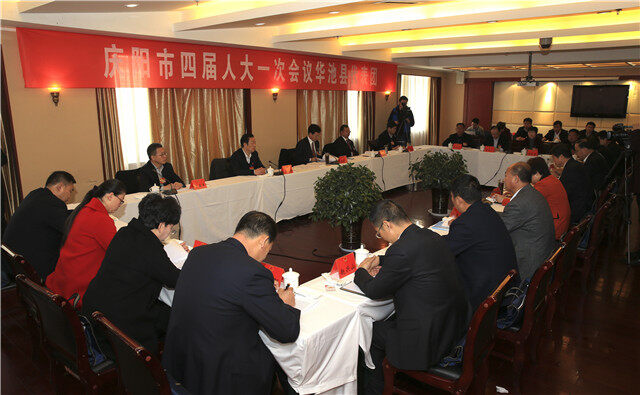 史胜利,魏正刚,杨红蕾,贾玲梅等基层代表还围绕油煤气资源开发,加大